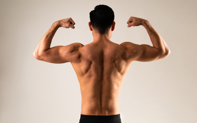 I muscoli coinvolti nelle trazioni con sovraccarico
